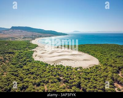 Aus der Vogelperspektive auf die Sanddünen und die Bäume des Strandes Bolonia auf der Gemeinde Tarifa in der Provinz Cadiz, Andalusien, Spanien. Stockfoto