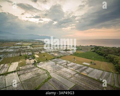 Luftaufnahme der landwirtschaftlichen Reisfelder in Bali bei Sonnenuntergang. Stockfoto