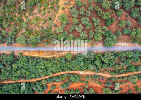 Aus der Vogelperspektive einer Eisenbahn, die durch Wälder in n Cazalla de la Sierra, Sevilla, Spanien führt. Stockfoto