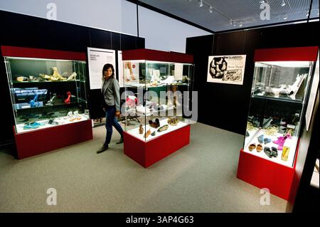 Senckenbergmuseum: Vorbesichtigung der Ausstellung Form folgt Fuß 23.04.2015 Frankfurt Senckenbergmuseum: Vorbesichtigung der Ausstellung Form folgt Fuß. Im Bild: Übersicht, Innenansicht. Frankfurt Frankfurt Hessen Deutschland *** Senckenbergmuseum Vorschau der Ausstellung Form folgt Fuß 23 04 2015 Frankfurt Senckenbergmuseum Vorschau der Ausstellung Form folgt Fuß im Bild Übersicht, Innenansicht Frankfurt Frankfurt Hessen Deutschland Stockfoto