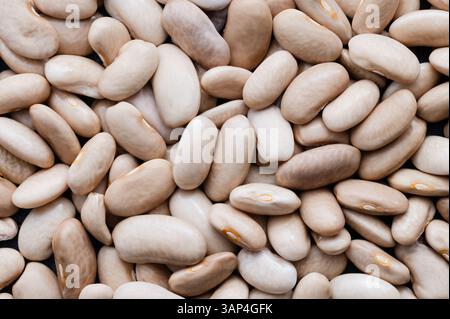 Ein ganzer Rahmen getrockneter Bohnen Stockfoto