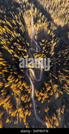 Panoramablick auf eine Zickzack-Bergstraße und Herbstbäume in den Dolomiten, Cortina, Italien. Stockfoto