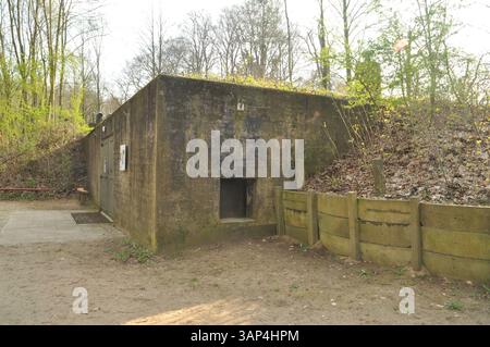 Krankenhausbunker in der Nähe von Kasteel de Haere, Olst, Niederlande Stockfoto