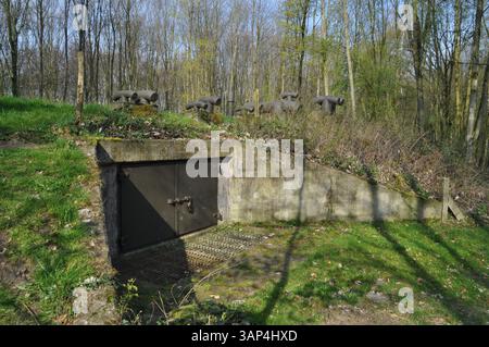 Krankenhausbunker in der Nähe von Kasteel de Haere, Olst, Niederlande Stockfoto