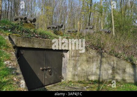Krankenhausbunker in der Nähe von Kasteel de Haere, Olst, Niederlande Stockfoto