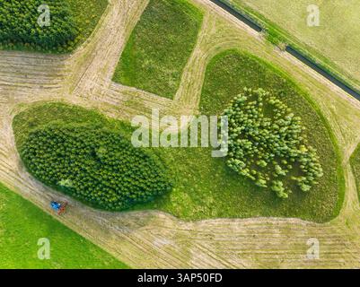 Abstrakte Luftaufnahme von Wald- und Grünlandstücken im spielerisch angelegten neuen Naturgebiet Bentwoud, Benthuizen, Zuid-Holland, Niederlande. Stockfoto