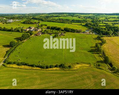Luftaufnahme des kleinen Flusses Geul und Grünland mit Kühen im Tal Geuldal, Camerig, Zuid Limburg, Niederlande. Stockfoto