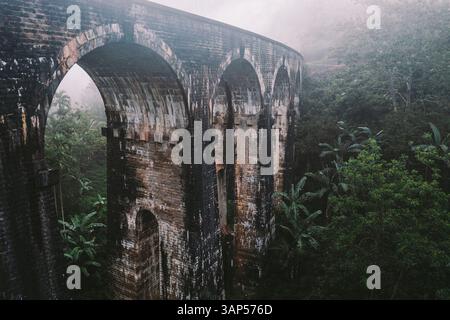 Aus der Vogelperspektive der berühmten Eisenbahnbrücke mit neun Bögen, die durch die grüne Dschungellandschaft in der Morgennebelwolke führt, Ella, Sri Lanka. Stockfoto