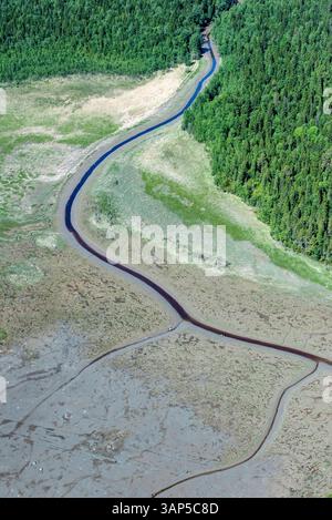 Aus der Vogelperspektive auf den sich windenden Fluss durch üppige Wälder in der Bucht von Onega, Karelien Republik, Russland. Stockfoto