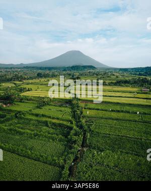 Luftaufnahme der Reisterrassen in Bali mit dem Berg Agung im Hintergrund, Karangasem, Indonesien. Stockfoto