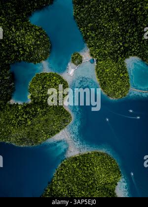 Drohnenansicht eines Katamarans, der die Küste der Sugba Blue Lagoon, einer tropischen Lagune auf der Insel Siargao, Surigao del Norte, Philippinen, segelt. Stockfoto