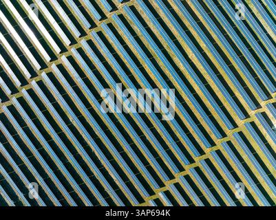 Luftaufnahme von Reihen von Solarpaneelen in einer Photovoltaik-Anlage bei Espejo. Luftaufnahme. Drohnenaufnahme. Provinz Córdoba, Andalucía, Spanien. Stockfoto