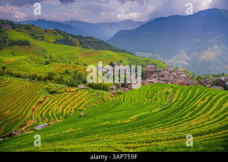 Sehen Sie den Reis auf den wunderschönen Reisterrassen in Longsheng, Longji, Guilin, China. Stockfoto