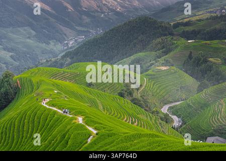 Longji-Reisterrassen auf dem Yaoshan-Berg in Guangxi, China, Sonnenaufgangslicht Stockfoto