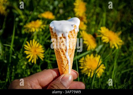 Eine Person hält einen Eiskegel mit einem weißen Niesel drauf. Die Szene spielt in einem grasbewachsenen Feld mit gelben Blumen im Hintergrund. Szene i Stockfoto