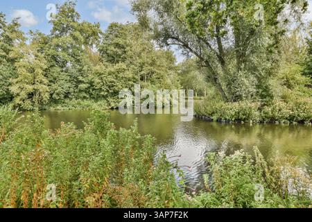 Ein ruhiger Fluss fließt durch eine lebendige Landschaft voller grüner Bäume und üppiger Pflanzen, die eine ruhige natürliche Umgebung schaffen, die perfekt zum Entspannen ist. Stockfoto