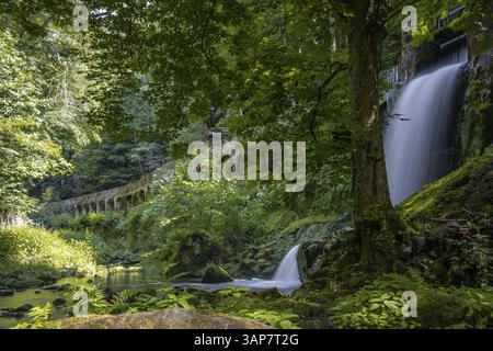 Altes Wasserkraftwerk Niezelgrund Wasserfall Lohmenschlucht Stockfoto