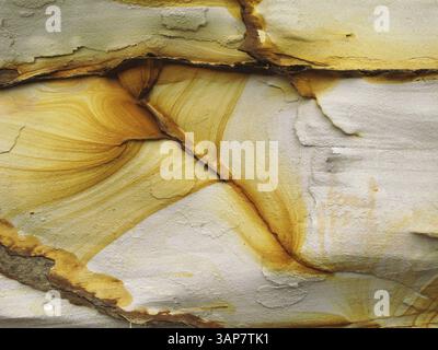 Sandsteinstruktur mit Eisenspuren in australien, devonische Steine, Australien, Ozeanien Stockfoto