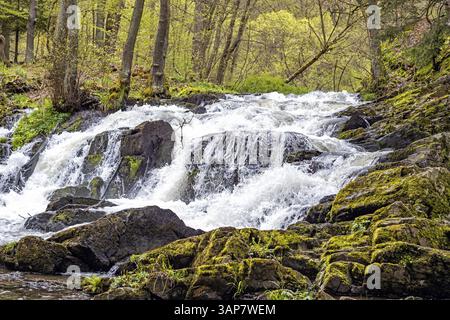 Wasserfall Selke im Harz Stockfoto