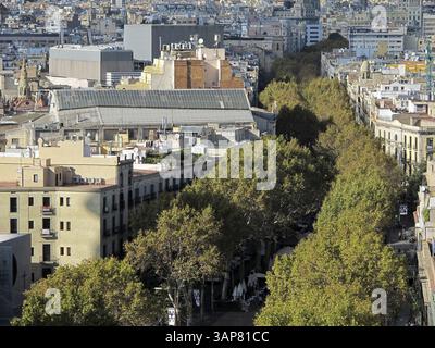 Fluss der Bäume in barcelona. la rambla, Barcelona, Spanien, Europa Stockfoto