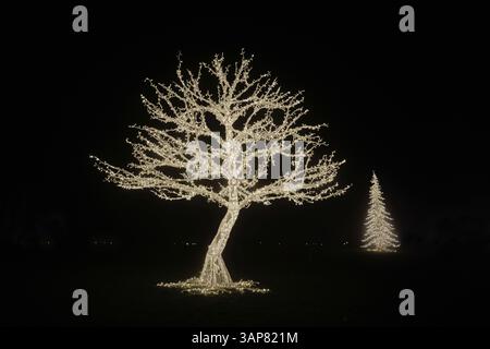 Ein beleuchteter Baum aus Feenlichtern bei der Lichtinstallation Lumagica im Magdeburger Elbauenpark, um sich auf Weihnachten und die Kälte einzustellen Stockfoto