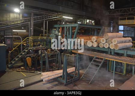 Pinus radiata wird am 31. Juli 2013 in den Furnierabstreifer einer Sperrholzfabrik in der Nähe von Greymouth, Neuseeland, Ozeanien, eingespeist Stockfoto