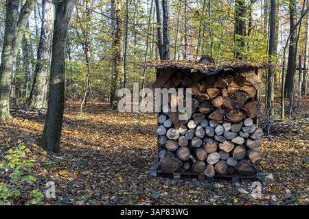 Herbsteindrücke aus der Sächsischen Schweiz Stockfoto