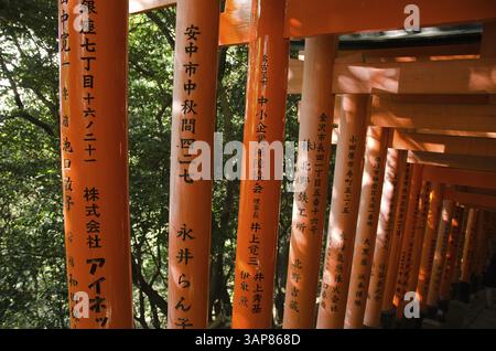 Torii-Tore am Fushimi Inari Taisha-Schrein in Kyoto, Japan, Kyoto, Japan, Asien Stockfoto