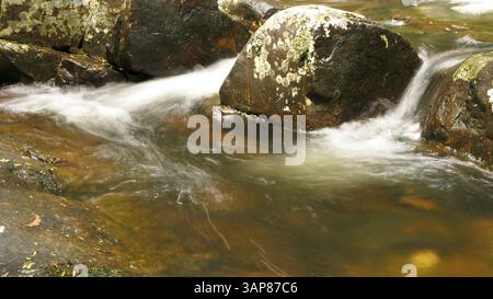 Wasser fließt um Steine in einem kleinen Fluss in australien, Wasserfall, Australien, Ozeanien Stockfoto