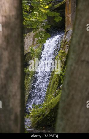 Altes Wasserkraftwerk Niezelgrund Wasserfall Lohmenschlucht Stockfoto