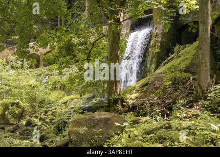 Altes Wasserkraftwerk Niezelgrund Wasserfall Lohmenschlucht Stockfoto