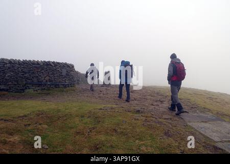 Drei Männer (Wanderer) erreichen den Pen-y-ghent Summit (auf dem Yorkshire 3 Peaks Path) von Horton in Ribblesdale, Yorkshire Dales National Park, England, Großbritannien Stockfoto