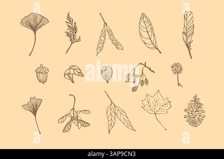 Handgezeichneter Herbst, botanische Elemente des Herbstes, große Ikone mit Blättern, Kiefern, Nüssen, Zweigen. Doodle-STYLE. Logo, Karte, Print-Design. Stock Vektor