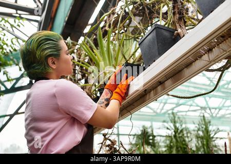 In einem lebendigen Gewächshaus pflegt eine junge Frau sorgfältig Pflanzen und zeigt ihre Fähigkeiten. Stockfoto