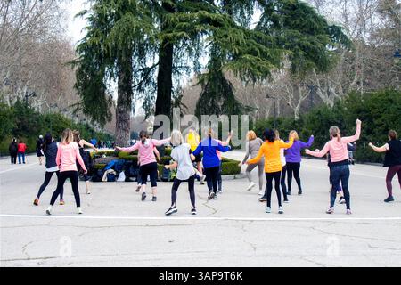 Gruppe von Frauen, die in einem öffentlichen Park Fitnessübungen machen, um Gesundheit, Energie und einen aktiven Lebensstil in einer natürlichen Umgebung zu fördern. Stockfoto