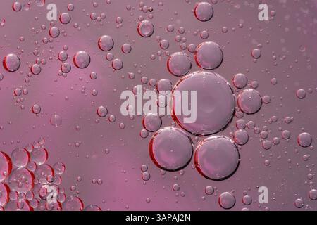 Makroaufnahme von Wassertropfen in Kochöl auf einem abstrakten Muster rosa lila Textur Hintergrund, kreatives Stockfotobild Stockfoto