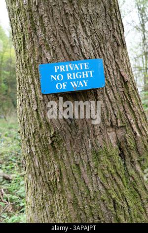 Privates, kein Wegschild auf einem Baum Stockfoto