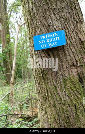 Privates, kein Wegschild auf einem Baum Stockfoto
