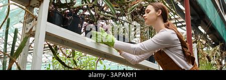 Eine junge, schöne Frau pflegt sanft Pflanzen in einem üppigen Gewächshaus voller Grün. Stockfoto