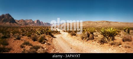 Panoramablick auf die unbefestigte Straße durch die Red Rock Canyon National Conservation Area in der Nähe von Las Vegas, Clark County, Nevada, USA Stockfoto