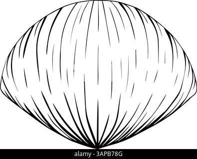 Grafischer Linienstil mit Muschelvektor. Muschel, isoliert auf weiß. Handgezeichnete Illustration für Paket, Küchendesign, Stoff und Textil. Stock Vektor