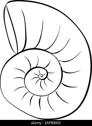 Abbildung der Nautilus-Schale. Symbol für die grafische Vektorlinie. Isoliert auf transparentem Hintergrund für Paket, Küchendesign, Stoff und Textil. Stock Vektor