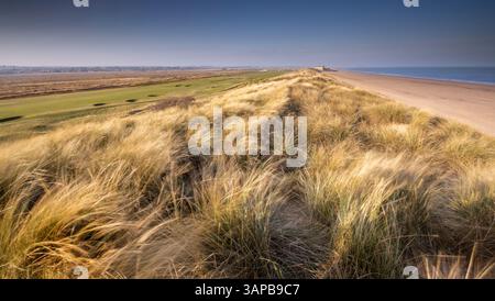 Die winkenden Gräser auf den Sanddünen von Brancaster. Blick entlang des Strandes zum Royal West Norfolk Golf Club Haus in der Ferne. Norfolk, Großbritannien. Stockfoto