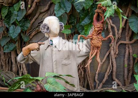 Modell und Übungspuppe von Draco Malfoy, der die Mandrake-Wurzel aus Harry Potter, dem Film der Kammer der Geheimnisse hält. Warner Bros Studio, London, Großbritannien. Stockfoto