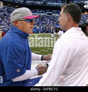 20. August 2011: Indianapolis, IN, USA – Cleveland Browns Cheftrainer Pat Shurmur trifft am Sonntag, den 21. Oktober 2012 in Indianapolis, Indiana, auf den Coach der Colts Bruce Arians. Die Colts gewannen das Spiel mit 17:13. (Bild: © Sam Riche/MCT/ZUMAPRESS.com) Stockfoto