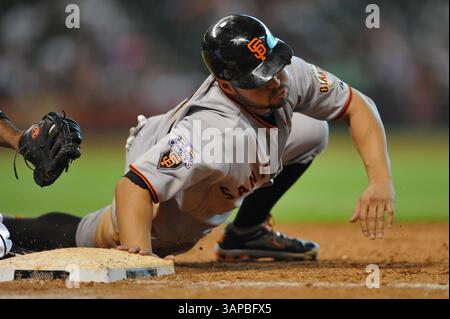 August 2011 . Die San Francisco Giants haben Feldspieler Cody Ross #13 in Aktion gelassen. Während des MLB-Spiels zwischen den San Francisco Giants und den Houston Astros im Minute Maid Park in Houston, Texas, gewinnen Giants 6-4 in 11 Innings. Manny Flores/CSM(Credit Image: â© Manny Flores/Cal Sport Media/ZUMAPRESS.com)(Credit Bild: © Manny Flores/Cal Sport Media/ZUMAPRESS.com) Stockfoto