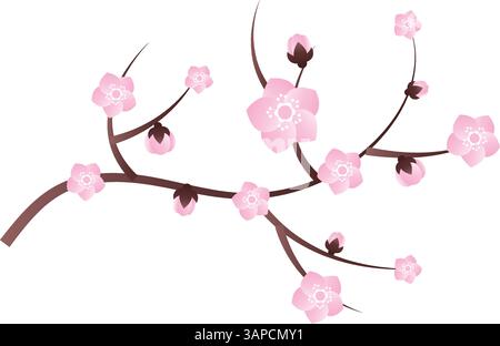Sakura Kirschblüte Zweig Vektor-Illustration Stock Vektor