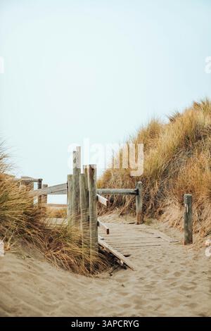 Holzsteg führt zu einem ruhigen Strand, eingerahmt von natürlichen Dünen und einem bewölkten Himmel. Perfekt für einen friedlichen Urlaub. Stockfoto