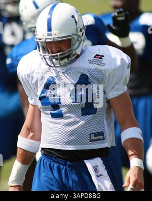 9. August 2011: Indianapolis Colts Tight End Dallas Clark (44) während des Trainingslagers der Indianapolis Colts an der Anderson University in Anderson. (Bild: © Pat Lovell/Cal Sport Media/ZUMAPRESS.com) Stockfoto