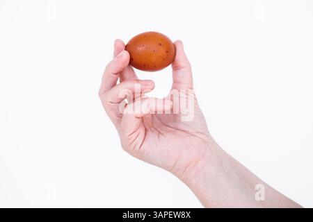 Nahaufnahme von Frau, die Hühnerei in den Händen hält, isoliert auf weißem Hintergrund. Bio-Eier vom Bauernhof. Selektiver Fokus. Weibliche Hand mit braunem Ei Stockfoto
